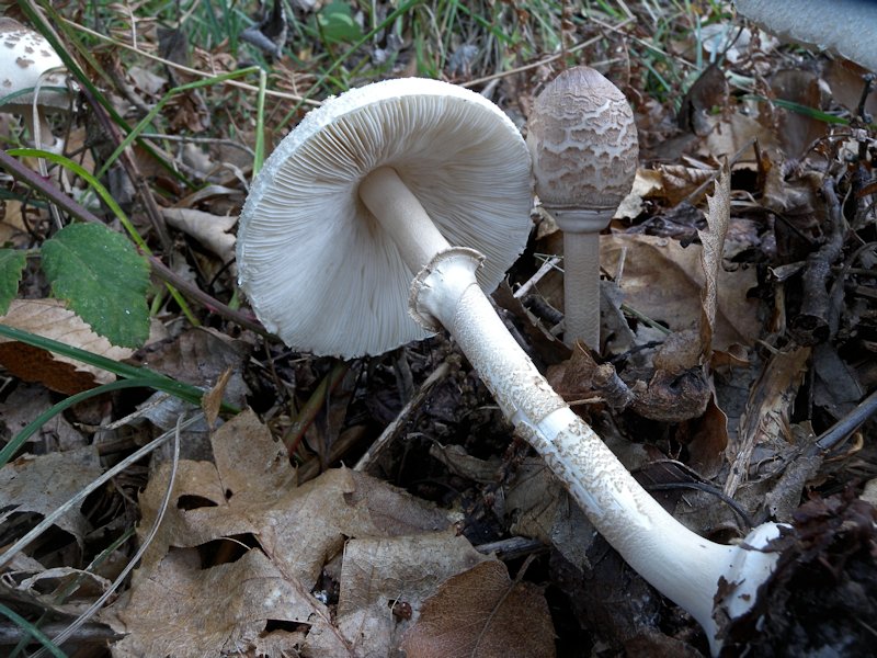 Forse l''ultima bellissima giornata..!!